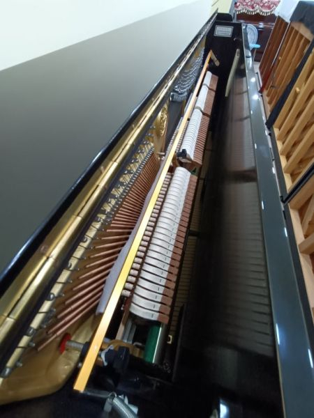 654.jpg